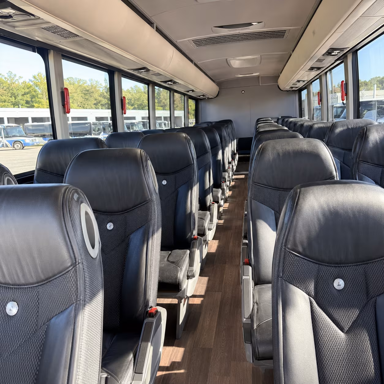 book the perfect ride for your next birthday 4